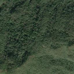 Satellite imagery of 造林地界 11, TW