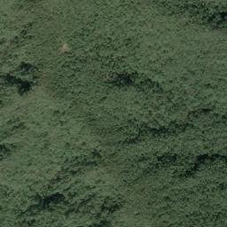 Satellite imagery of 造林地界 11, TW