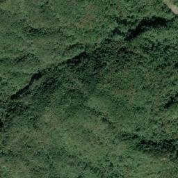 Satellite imagery of 造林租界, TW