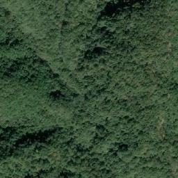Satellite imagery of 造林租界, TW