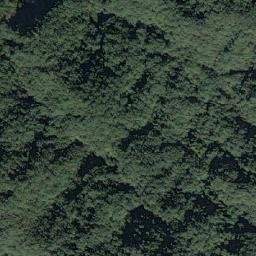 Satellite imagery of 造林地界 28, TW