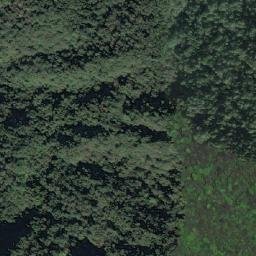 Satellite imagery of 三等三角點 1091, TW
