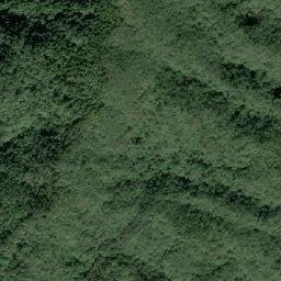 Satellite imagery of 造林地界 1, TW