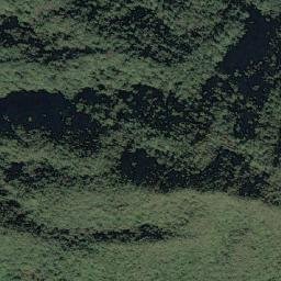 Satellite imagery of 造林地界 28, TW