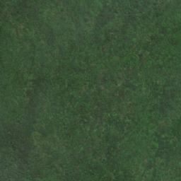 Satellite imagery of 專賣局造林地柱, TW