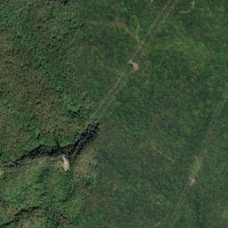 Satellite imagery of 造林地界 24, TW