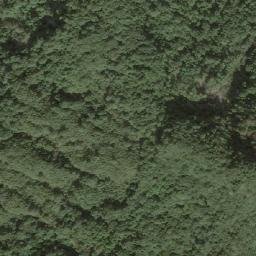 Satellite imagery of 造林地界 7, TW