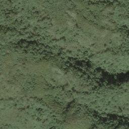 Satellite imagery of 造林地界 11, TW