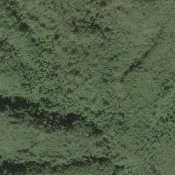 Satellite imagery of 造林地界 11, TW