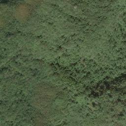 Satellite imagery of 造林地界 7, TW