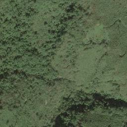 Satellite imagery of 造林地界 11, TW