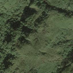 Satellite imagery of 造林地界 11, TW