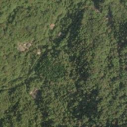 Satellite imagery of 造林租界, TW