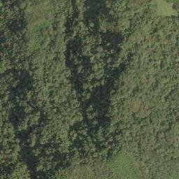 Satellite imagery of 造林租界, TW