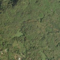 Satellite imagery of 造林租界, TW