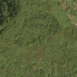 Satellite imagery of 造林租界, TW