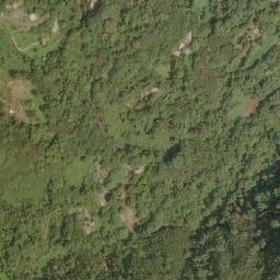 Satellite imagery of 造林租界, TW