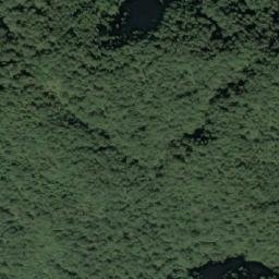 Satellite imagery of 造林地界 ?, TW