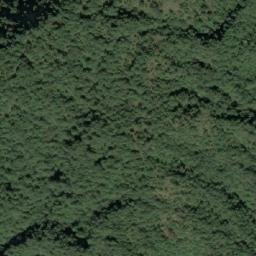 Satellite imagery of 造林地界 ?, TW