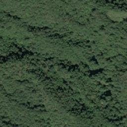 Satellite imagery of 造林地界 ?, TW
