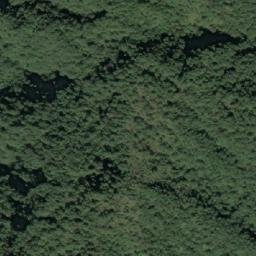 Satellite imagery of 造林地界 ?, TW