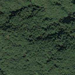 Satellite imagery of 造林地界 ?, TW
