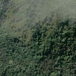 Satellite imagery of 造林租界, TW