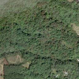 Satellite imagery of 造林租界, TW