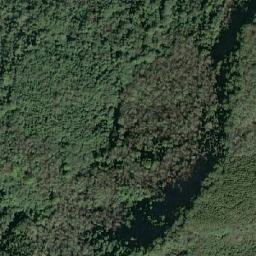 Satellite imagery of 造林租界, TW