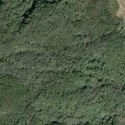 Satellite imagery of 造林租界, TW