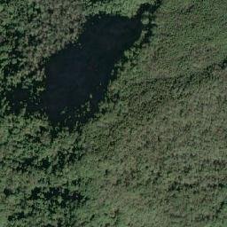 Satellite imagery of 造林租界, TW