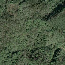 Satellite imagery of 造林租界, TW