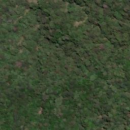 Satellite imagery of 二等三角點 1554, TW