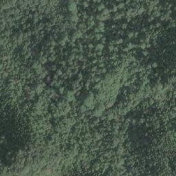 Satellite imagery of 造林租界, TW