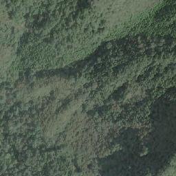 Satellite imagery of 造林租界, TW