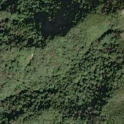 Satellite imagery of 造林租界, TW