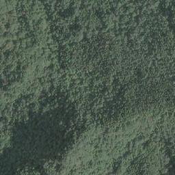 Satellite imagery of 造林租界, TW