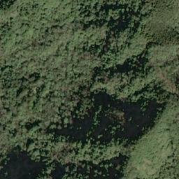 Satellite imagery of 造林租界, TW