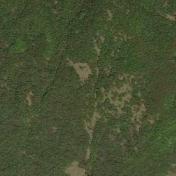 Satellite imagery of 保安林界, TW