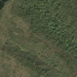 Satellite imagery of 總督府保安林 5, TW