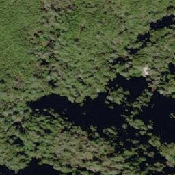 Satellite imagery of 武農245, TW