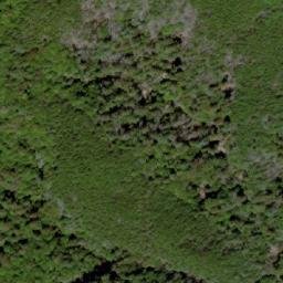 Satellite imagery of 武農245, TW