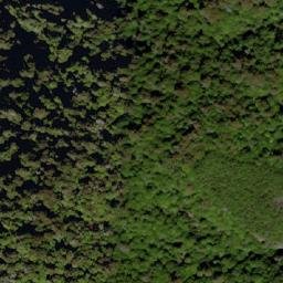 Satellite imagery of 武農245, TW
