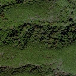 Satellite imagery of 武農245, TW
