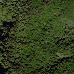 Satellite imagery of 武農245, TW