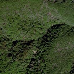 Satellite imagery of 武農245, TW