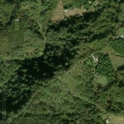 Satellite imagery of 造林地界 8, TW