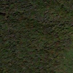 Satellite imagery of 三等三角點 5981, TW