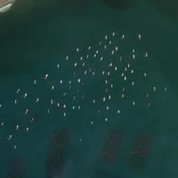 Satellite imagery of Black Point, CN