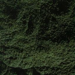 Satellite imagery of Fenghuang Shan, CN